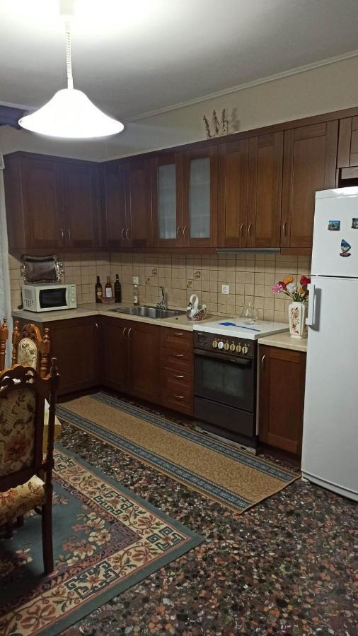 Apartment Panourgia's House Trikala (Thessaly)